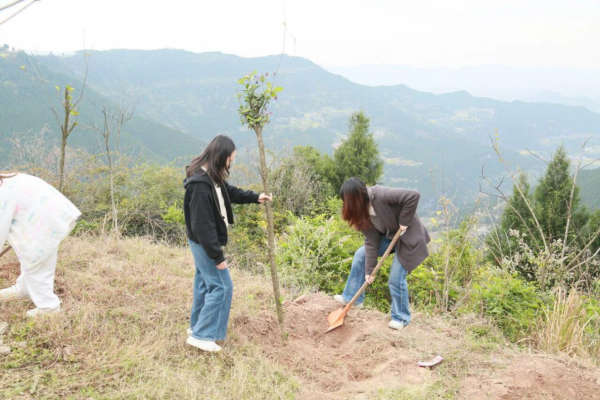 植树节特辑丨达川区检察院赴米城乡开展义务植树活动